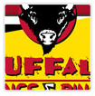 Game Skin: Buffalo Wings & Rings